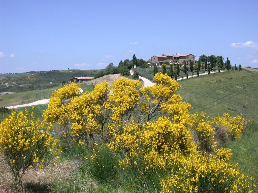 Agriturismo Palazzo Conti A Pienza Dış mekan fotoğraf